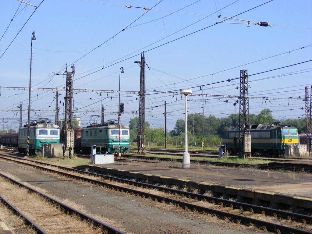 2010_08210006.JPG